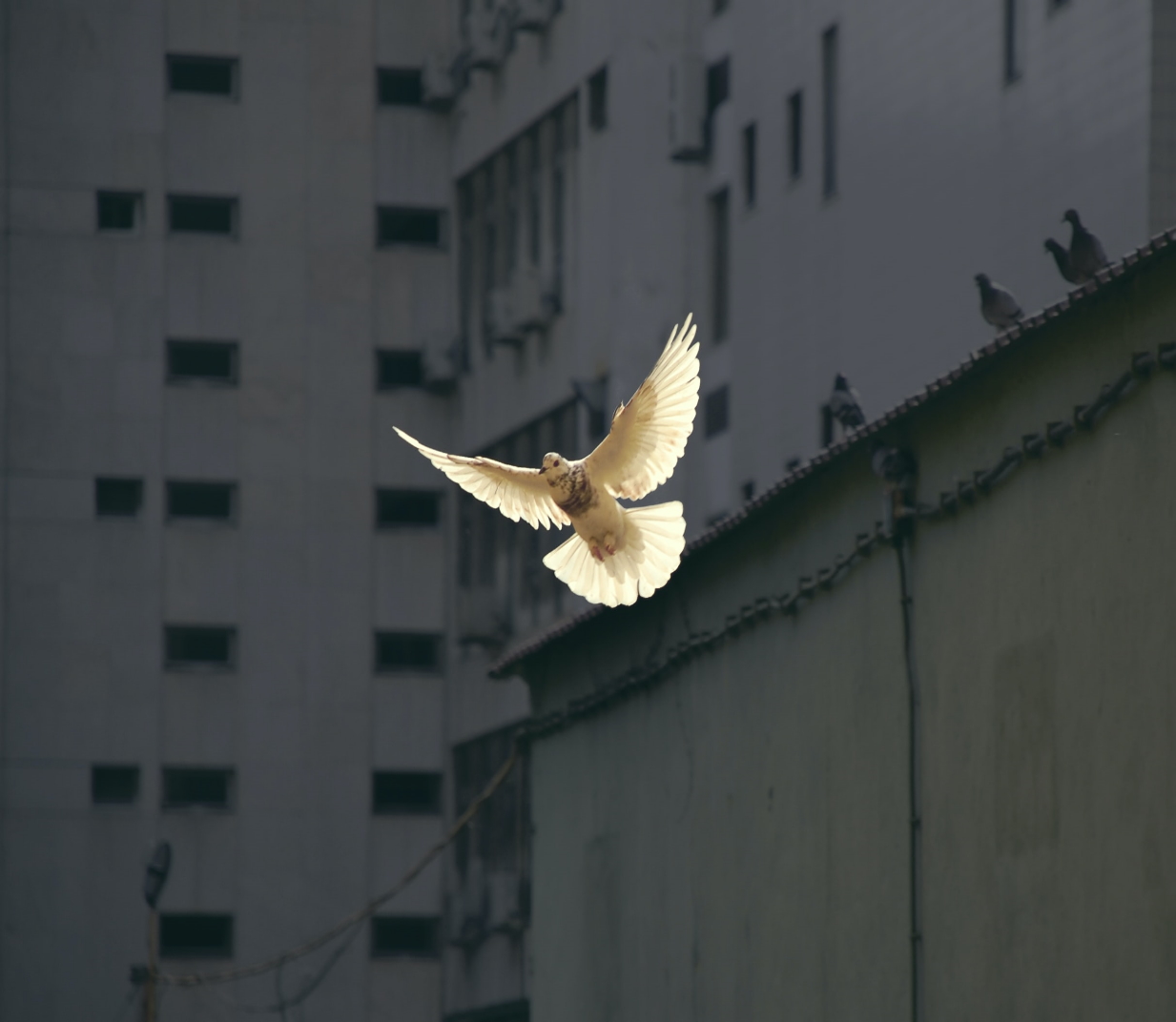 God’s Holy Spirit