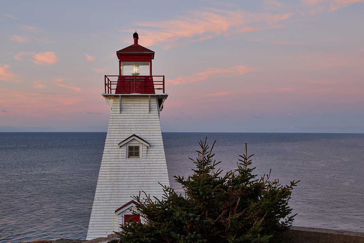 The Guiding Light